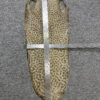 Dried Stingray Leather - Leopard