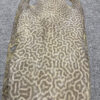 Dried Stingray Leather - Leopard