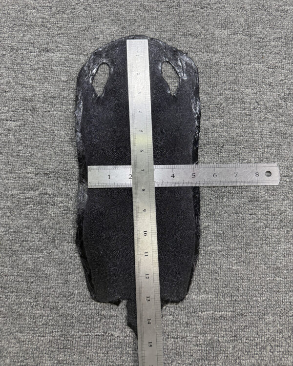 Long Shape Soft Stingray Leather (Unpolished)