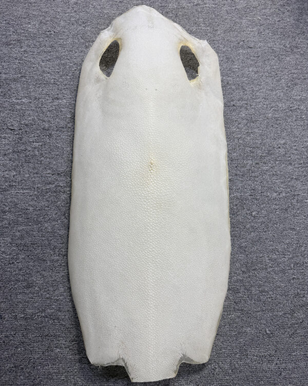 Bleached Dried Stingray Leather - Long Shape