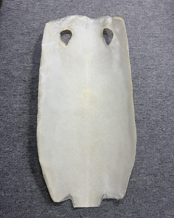 Bleached Dried Stingray Leather - Long Shape