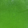 Green Long Shape Soft Stingray Leather (Unpolished)