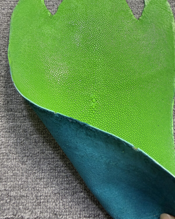 Green Long Shape Soft Stingray Leather (Unpolished)