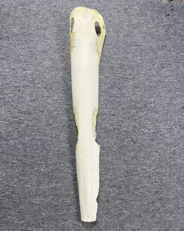 Row Stone Bleached Dried Hard Stingray Leather