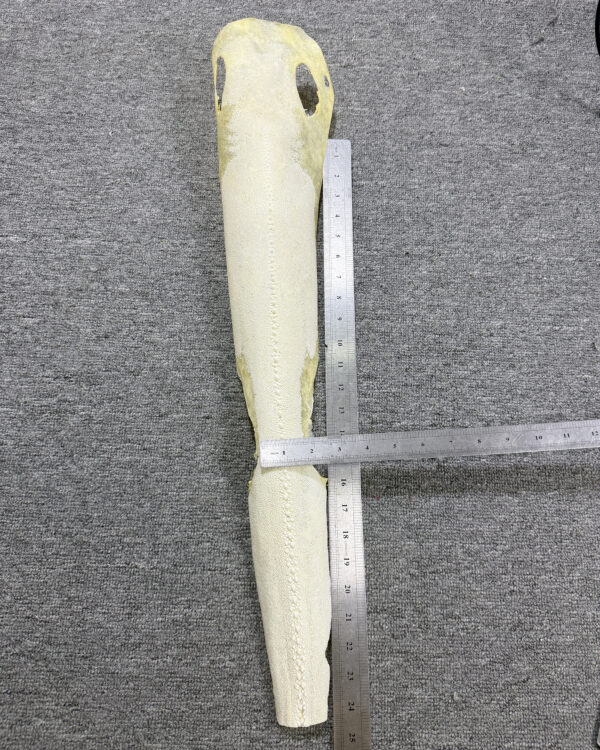 Row Stone Bleached Dried Hard Stingray Leather