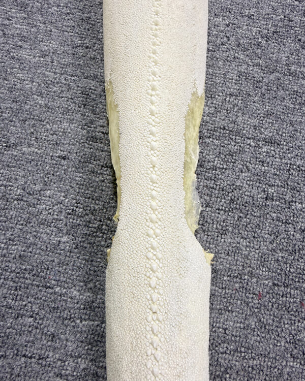Row Stone Bleached Dried Hard Stingray Leather