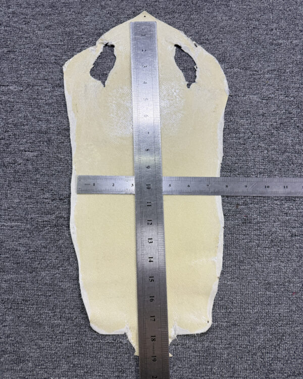7 Inch White Long Shape Polished Soft Stingray Leather