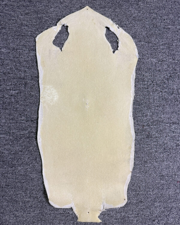 7 Inch White Long Shape Polished Soft Stingray Leather