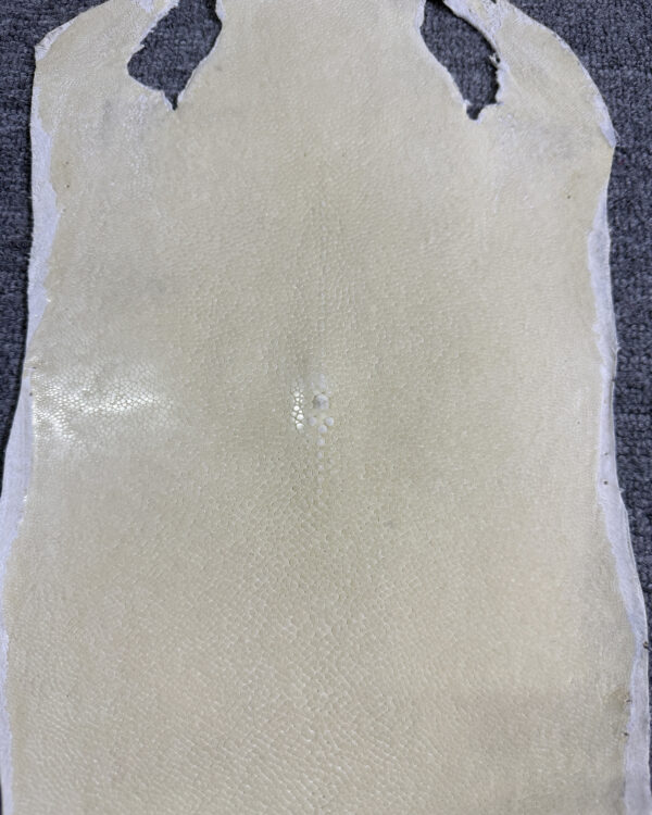 7 Inch White Long Shape Polished Soft Stingray Leather