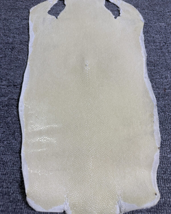 7 Inch White Long Shape Polished Soft Stingray Leather