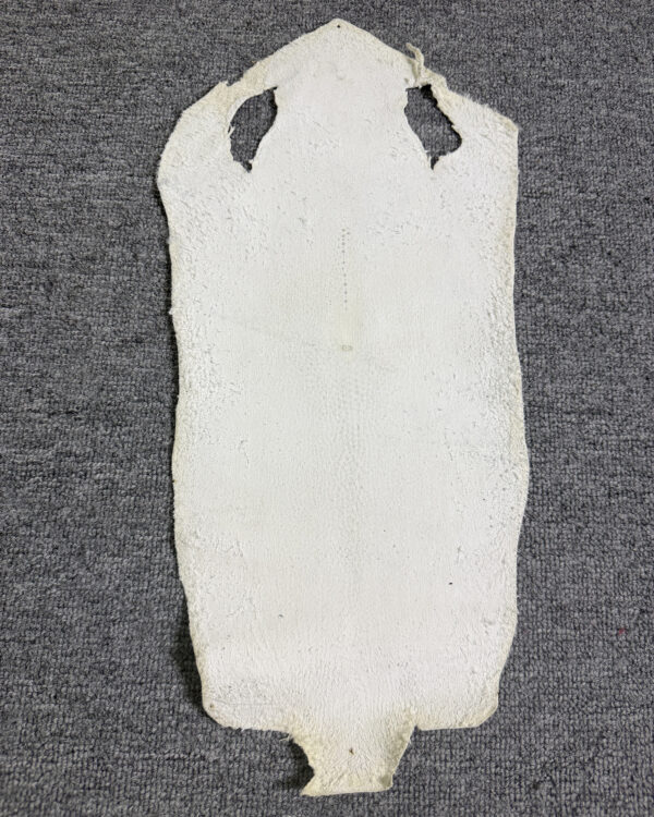 7 Inch White Long Shape Polished Soft Stingray Leather