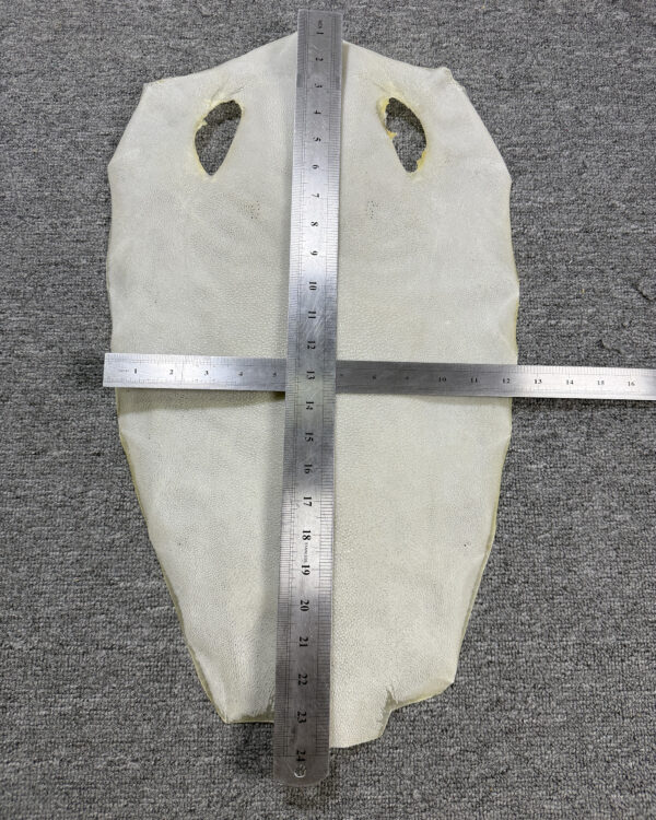 Bleached Dried Stingray Leather - Round Shape