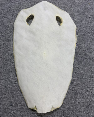 Bleached Dried Stingray Leather - Round Shape