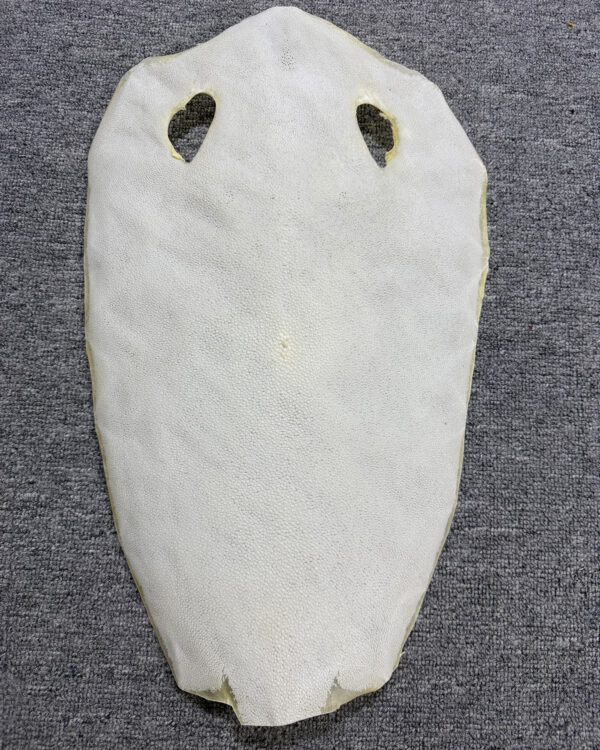 Bleached Dried Stingray Leather - Round Shape