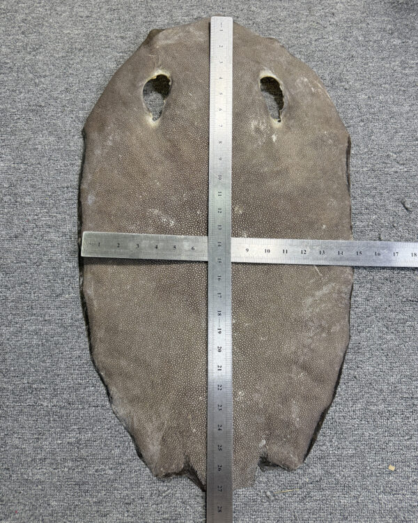 Dried Stingray Leather - Round Shape