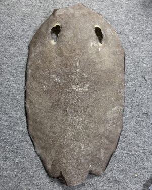 Dried Stingray Leather - Round Shape