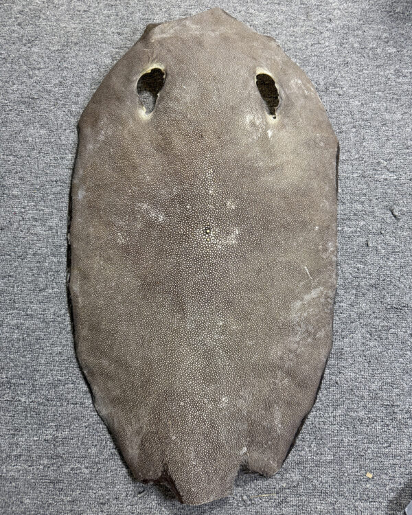 Dried Stingray Leather - Round Shape