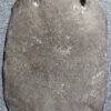 Dried Stingray Leather - Round Shape