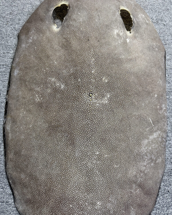 Dried Stingray Leather - Round Shape