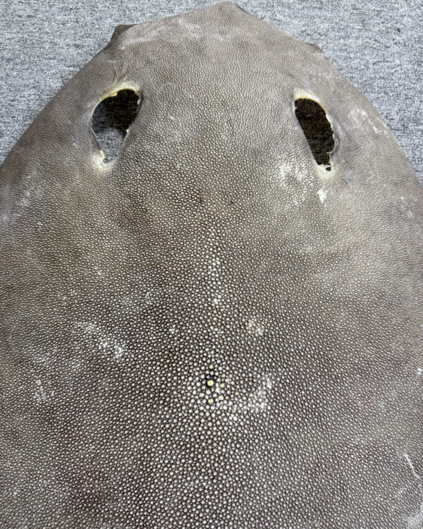 Dried Stingray Leather - Round Shape