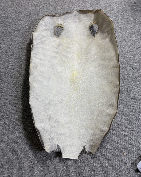 Dried Stingray Leather - Round Shape