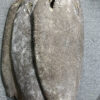 Dried Stingray Leather - Round Shape