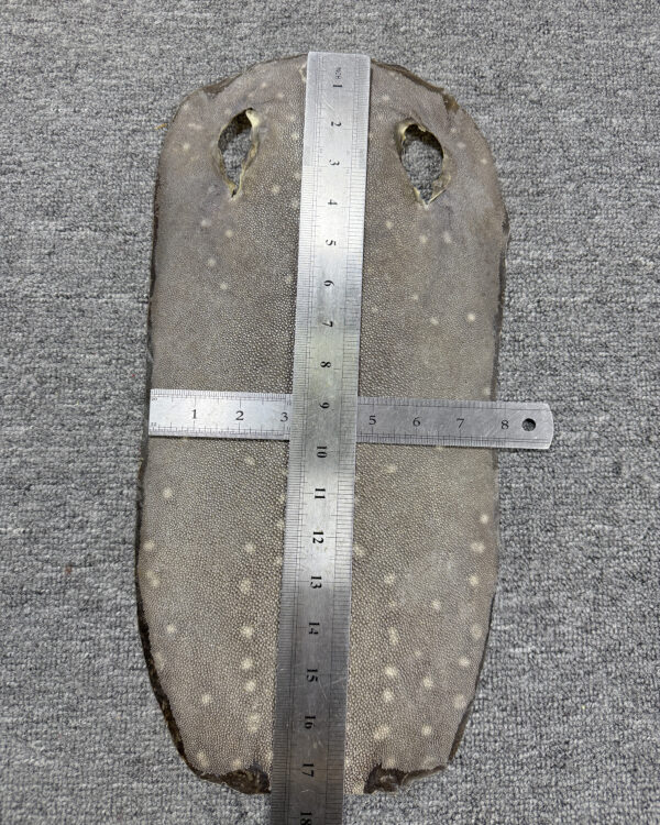 Dried Stingray Leather - Long Shape