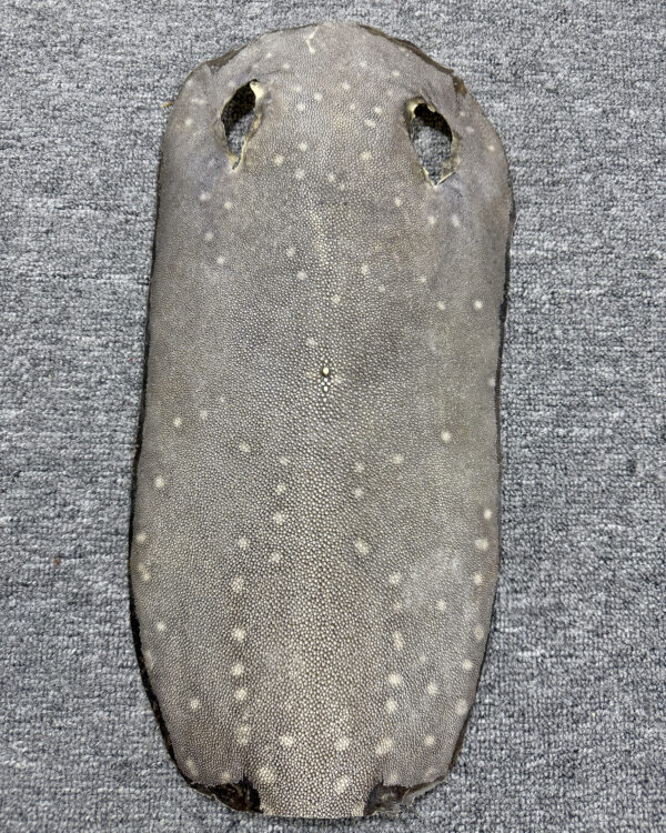 Dried Stingray Leather - Long Shape