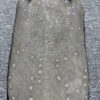 Dried Stingray Leather - Long Shape