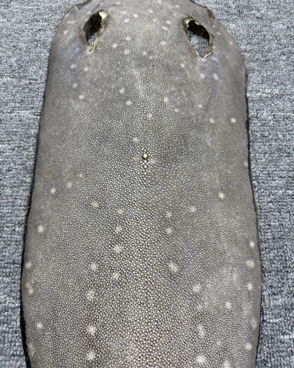 Dried Stingray Leather - Long Shape
