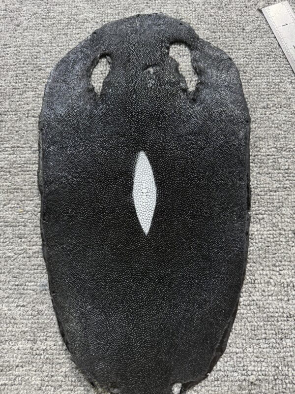 Dyed Stingray Leather - Round Shape