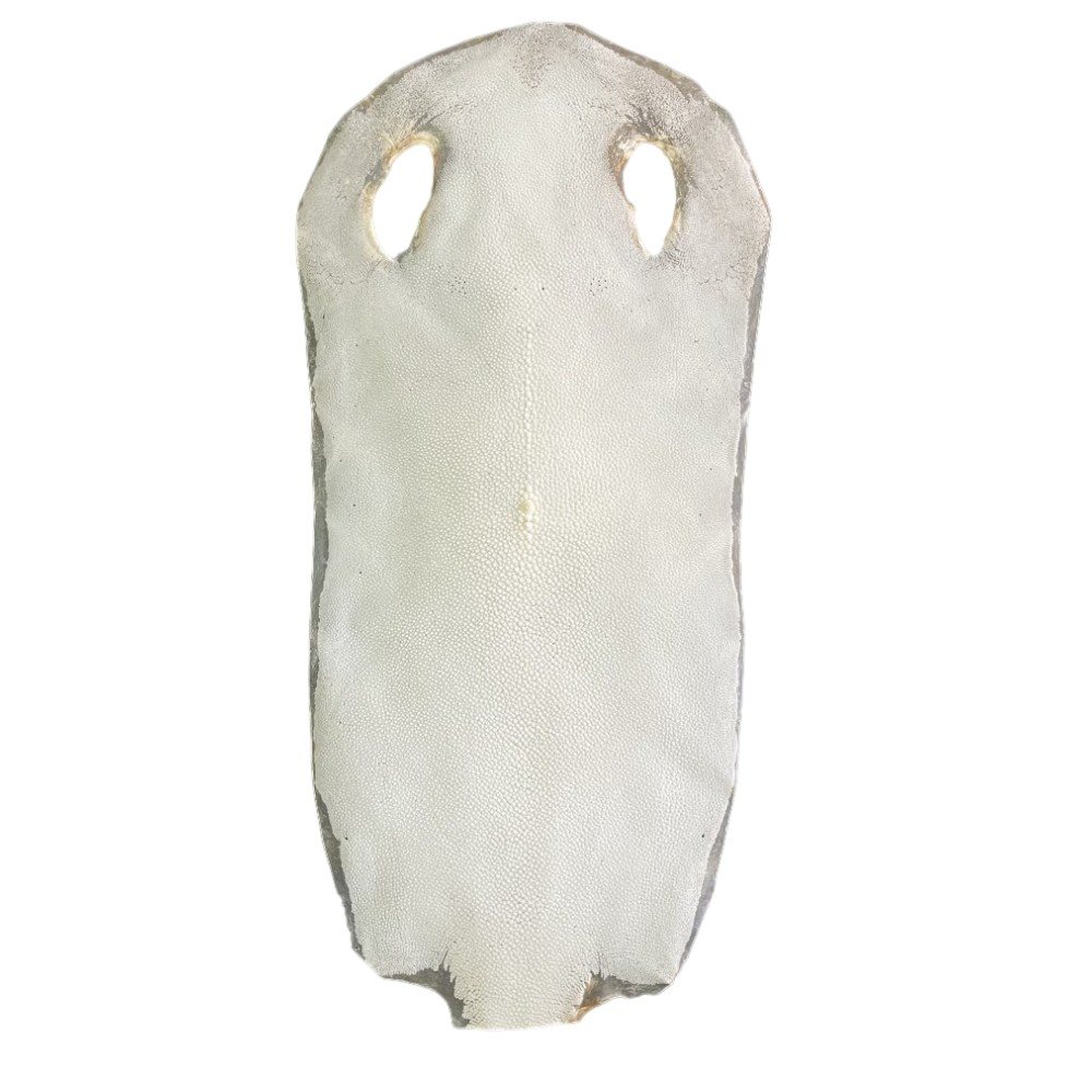 Bleached dried stingray leather with a firmer dried surface