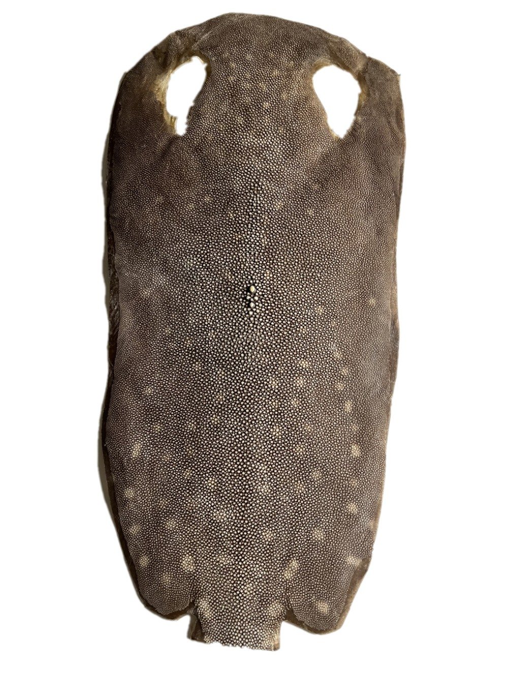 Natural dried stingray leather with visible pearl texture and grain variation